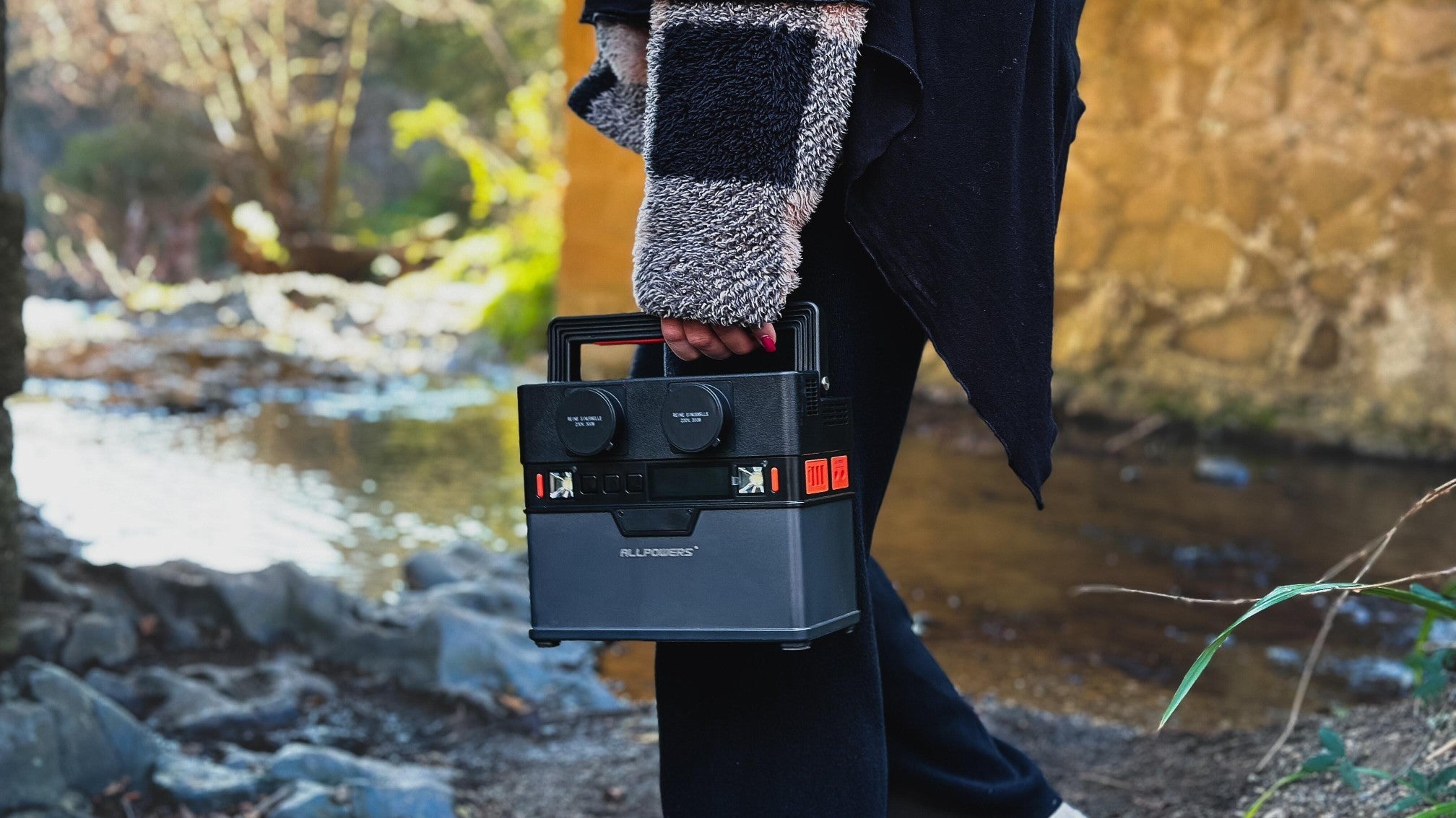 LiFePO4 contre Lithium-Ion